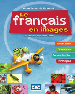 ``Rich Results on Google's SERP when searching for 'Le français en images'