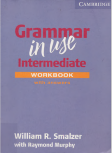 ``Rich Results on Google's SERP when searching for ''Grammar in Use Intermediate Workbook''