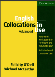 ``Rich Results on Google's SERP when searching for ''English Collocations in Use: Advanced''